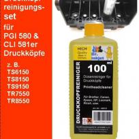 IRP431 - Bedienungsanleitung - PGI580 | CLI581
